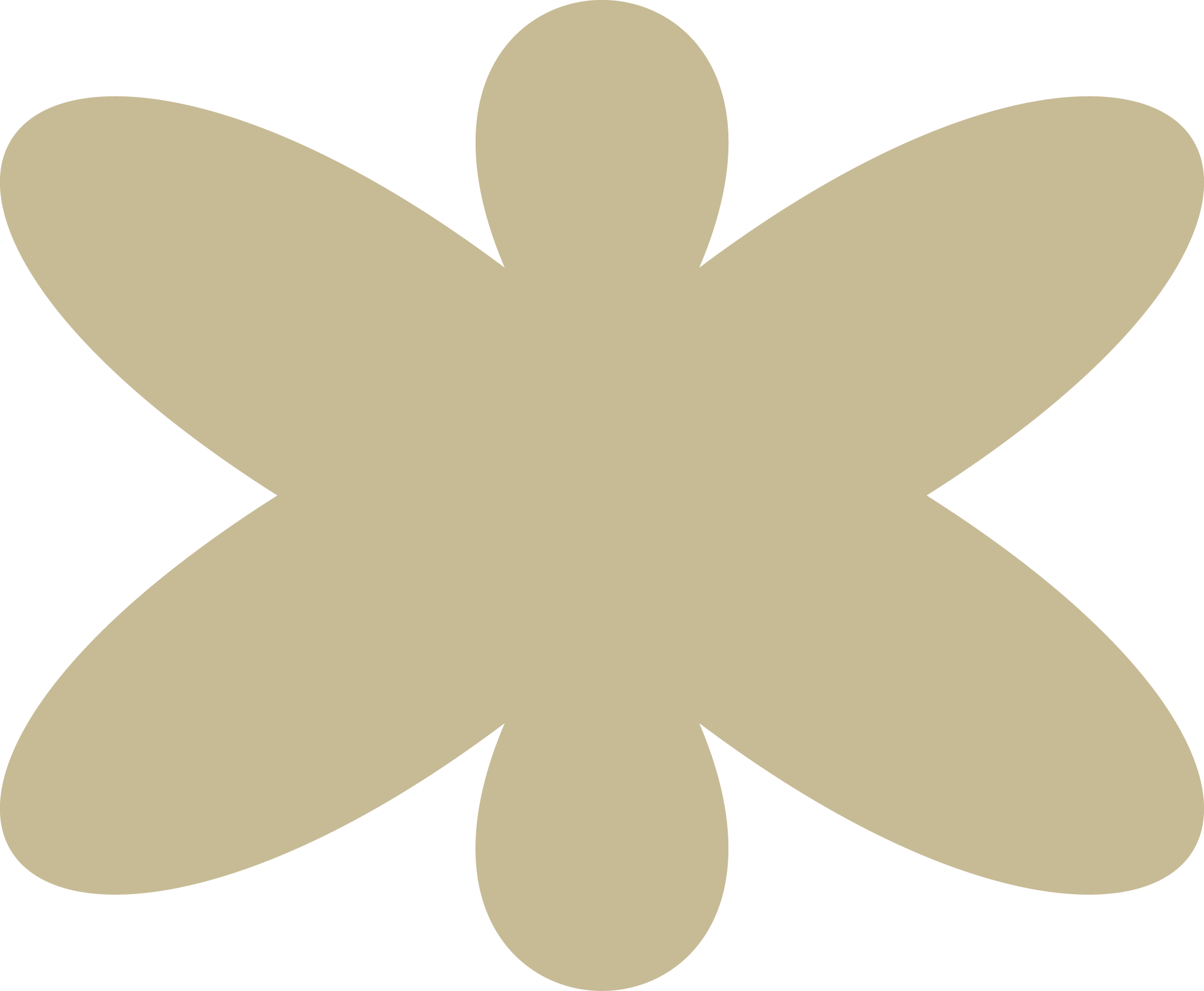 loader image